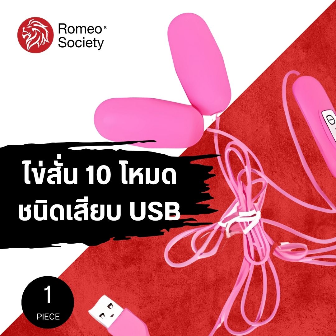 Dual Egg Vibrator 10 Function USB Pink (อุปกรณ์สั่น)