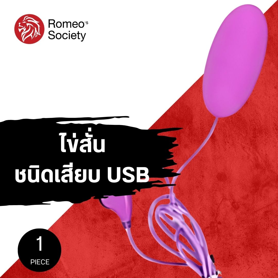 Single Egg Vibrator 10 Function USB Purple (อุปกรณ์สั่น)