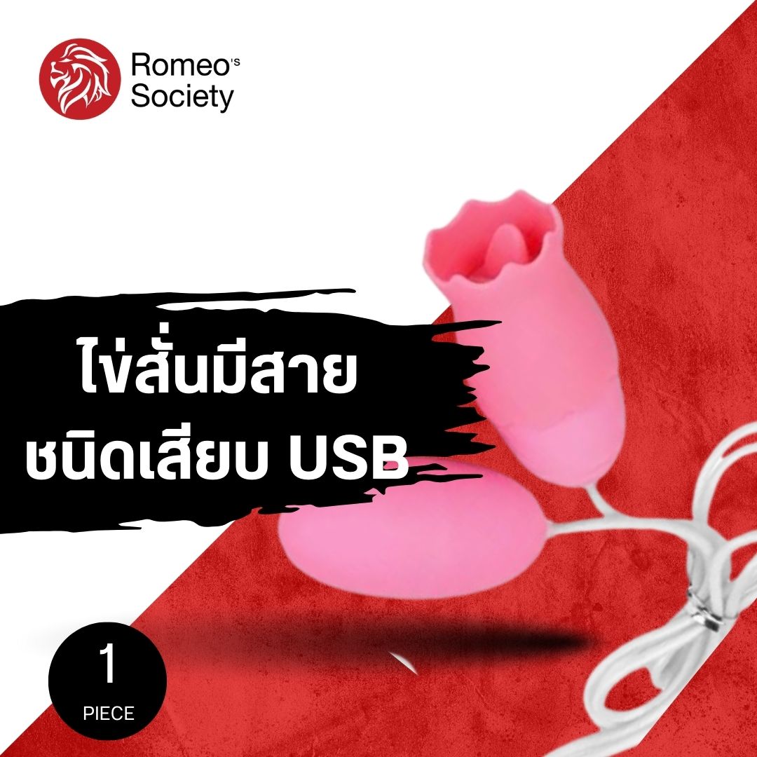 Dual Egg Vibrator 10 Function USB Pink (อุปกรณ์สั่น) (XTRV119)